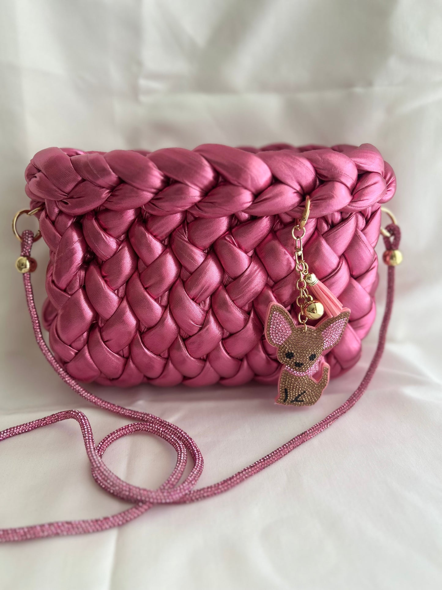 Chihuahua pink